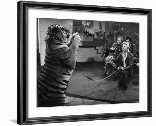 Animal Trainer Gunther Gebel Williams on "Panorama" with Guest Martha Mitchell and Maury Povich-Walter Bennett-Framed Premium Photographic Print