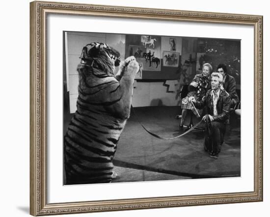 Animal Trainer Gunther Gebel Williams on "Panorama" with Guest Martha Mitchell and Maury Povich-Walter Bennett-Framed Premium Photographic Print