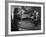 Animal Trainer Gunther Gebel Williams on "Panorama" with Guest Martha Mitchell and Maury Povich-Walter Bennett-Framed Premium Photographic Print