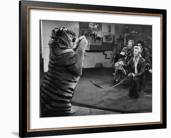 Animal Trainer Gunther Gebel Williams on "Panorama" with Guest Martha Mitchell and Maury Povich-Walter Bennett-Framed Premium Photographic Print