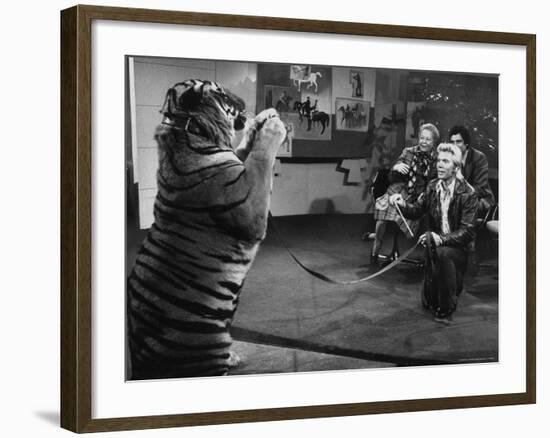 Animal Trainer Gunther Gebel Williams on "Panorama" with Guest Martha Mitchell and Maury Povich-Walter Bennett-Framed Premium Photographic Print
