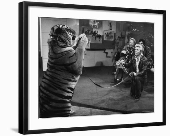 Animal Trainer Gunther Gebel Williams on "Panorama" with Guest Martha Mitchell and Maury Povich-Walter Bennett-Framed Premium Photographic Print