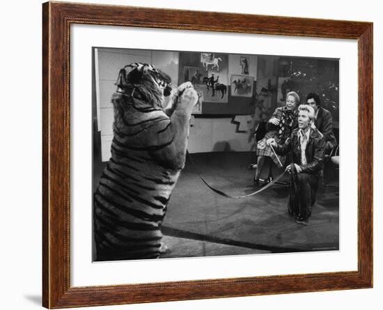 Animal Trainer Gunther Gebel Williams on "Panorama" with Guest Martha Mitchell and Maury Povich-Walter Bennett-Framed Premium Photographic Print