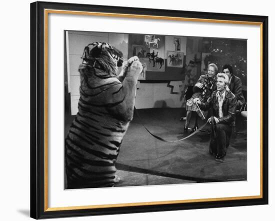 Animal Trainer Gunther Gebel Williams on "Panorama" with Guest Martha Mitchell and Maury Povich-Walter Bennett-Framed Premium Photographic Print