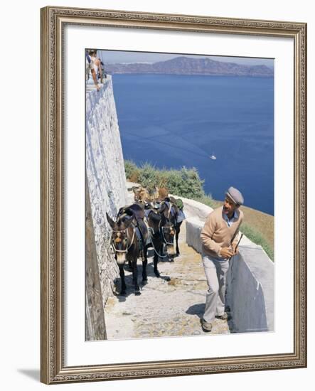 Animal Transport, Santorini (Thira), Cyclades Islands, Greek Islands, Greece-Michael Short-Framed Photographic Print