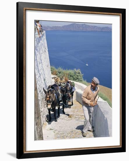 Animal Transport, Santorini (Thira), Cyclades Islands, Greek Islands, Greece-Michael Short-Framed Photographic Print