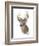 Animal Woodland Deer-Matthew Piotrowicz-Framed Art Print