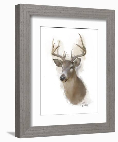 Animal Woodland Deer-Matthew Piotrowicz-Framed Art Print