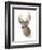 Animal Woodland Deer-Matthew Piotrowicz-Framed Art Print