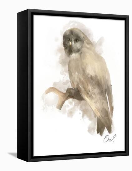 Animal Woodland Owl-Matthew Piotrowicz-Framed Stretched Canvas