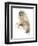 Animal Woodland Owl-Matthew Piotrowicz-Framed Art Print