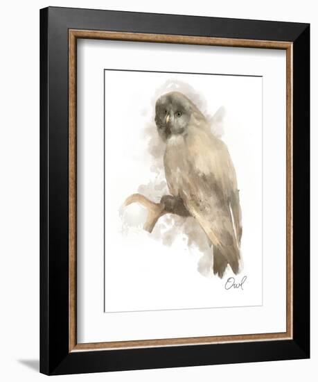 Animal Woodland Owl-Matthew Piotrowicz-Framed Art Print