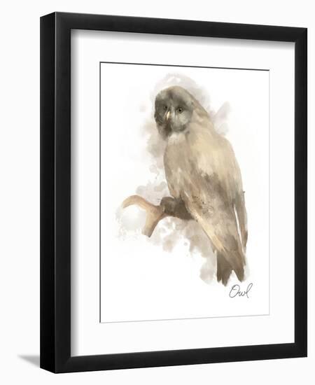 Animal Woodland Owl-Matthew Piotrowicz-Framed Art Print