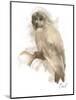 Animal Woodland Owl-Matthew Piotrowicz-Mounted Art Print