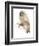 Animal Woodland Owl-Matthew Piotrowicz-Framed Art Print