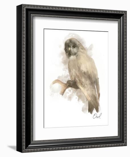 Animal Woodland Owl-Matthew Piotrowicz-Framed Art Print