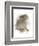 Animal Woodland Rabbit-Matthew Piotrowicz-Framed Art Print