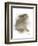 Animal Woodland Rabbit-Matthew Piotrowicz-Framed Art Print