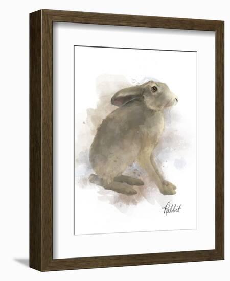 Animal Woodland Rabbit-Matthew Piotrowicz-Framed Art Print