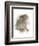 Animal Woodland Rabbit-Matthew Piotrowicz-Framed Art Print