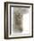 Animal Woodland Squirrel-Matthew Piotrowicz-Framed Art Print