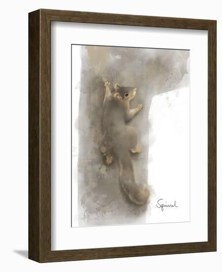 Animal Woodland Squirrel-Matthew Piotrowicz-Framed Art Print