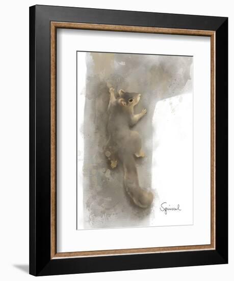 Animal Woodland Squirrel-Matthew Piotrowicz-Framed Art Print