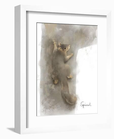 Animal Woodland Squirrel-Matthew Piotrowicz-Framed Art Print