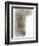 Animal Woodland Squirrel-Matthew Piotrowicz-Framed Art Print