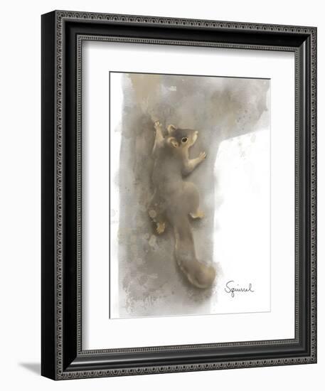 Animal Woodland Squirrel-Matthew Piotrowicz-Framed Art Print