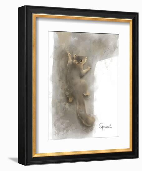 Animal Woodland Squirrel-Matthew Piotrowicz-Framed Art Print