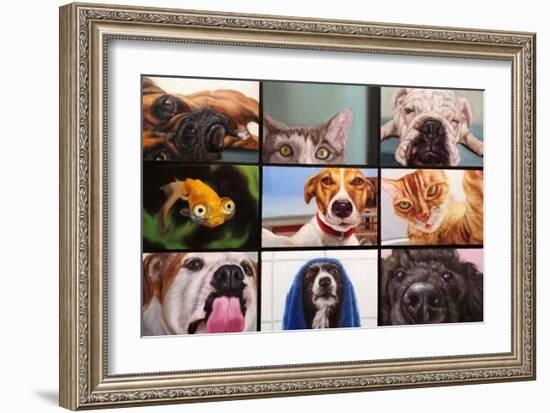 Animal Zoom-Lucia Heffernan-Framed Art Print