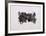 Animal-Ronald Jay Stein-Framed Limited Edition