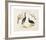 Animalia Collective - Crowned Birds-Joris Hoefnagel-Framed Premium Giclee Print