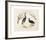 Animalia Collective - Crowned Birds-Joris Hoefnagel-Framed Premium Giclee Print