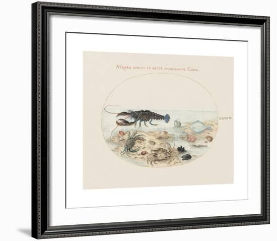 Animalia Collective - Crustaceans-Joris Hoefnagel-Framed Premium Giclee Print