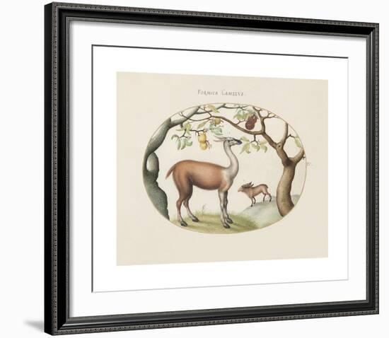 Animalia Collective - Foragers-Joris Hoefnagel-Framed Premium Giclee Print