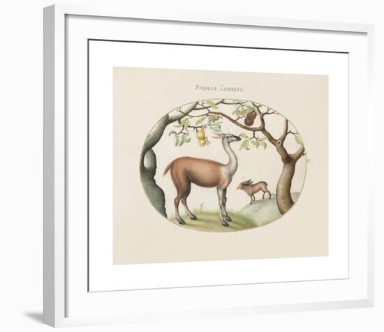 Animalia Collective - Foragers-Joris Hoefnagel-Framed Premium Giclee Print