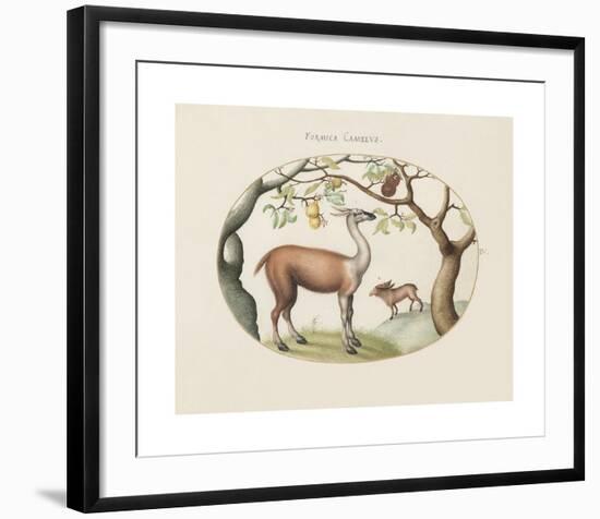 Animalia Collective - Foragers-Joris Hoefnagel-Framed Premium Giclee Print