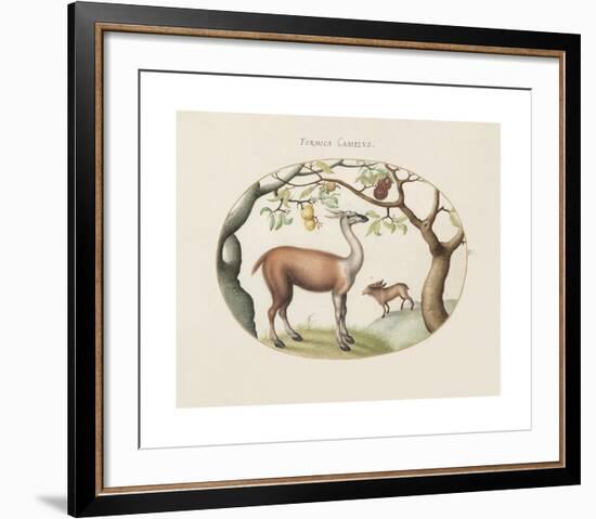 Animalia Collective - Foragers-Joris Hoefnagel-Framed Premium Giclee Print
