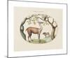 Animalia Collective - Foragers-Joris Hoefnagel-Mounted Premium Giclee Print