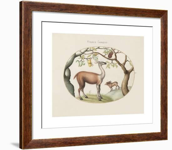 Animalia Collective - Foragers-Joris Hoefnagel-Framed Premium Giclee Print