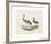 Animalia Collective - Long Legged Birds-Joris Hoefnagel-Framed Premium Giclee Print