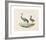 Animalia Collective - Long Legged Birds-Joris Hoefnagel-Framed Premium Giclee Print