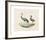 Animalia Collective - Long Legged Birds-Joris Hoefnagel-Framed Premium Giclee Print