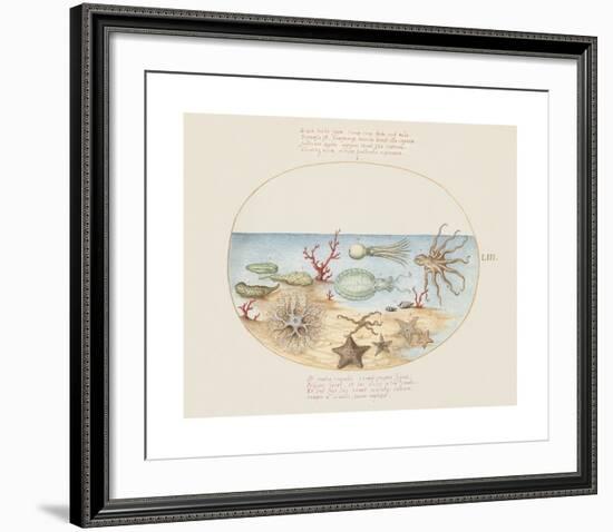 Animalia Collective - Underwater-Joris Hoefnagel-Framed Premium Giclee Print