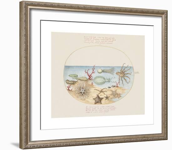 Animalia Collective - Underwater-Joris Hoefnagel-Framed Premium Giclee Print