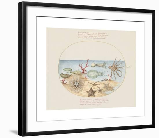 Animalia Collective - Underwater-Joris Hoefnagel-Framed Premium Giclee Print