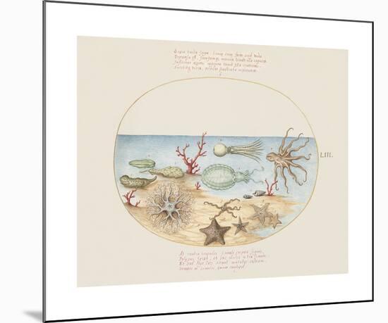 Animalia Collective - Underwater-Joris Hoefnagel-Mounted Premium Giclee Print