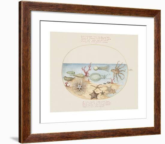 Animalia Collective - Underwater-Joris Hoefnagel-Framed Premium Giclee Print